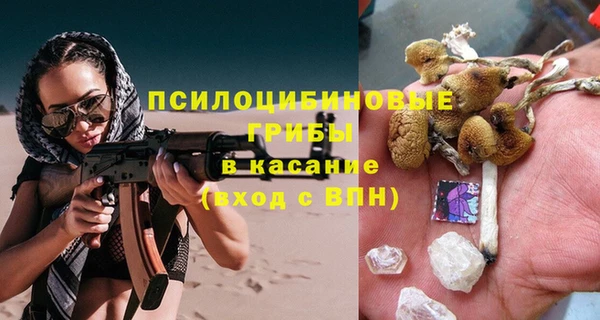 ГАЛЛЮЦИНОГЕННЫЕ ГРИБЫ Алексеевка