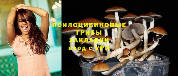 ГАЛЛЮЦИНОГЕННЫЕ ГРИБЫ Алексеевка