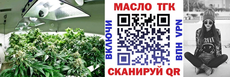 ТГК гашишное масло  купить наркотики сайты  Александровское 