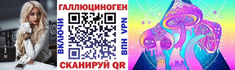 Галлюциногенные грибы Psilocybe  Александровское 